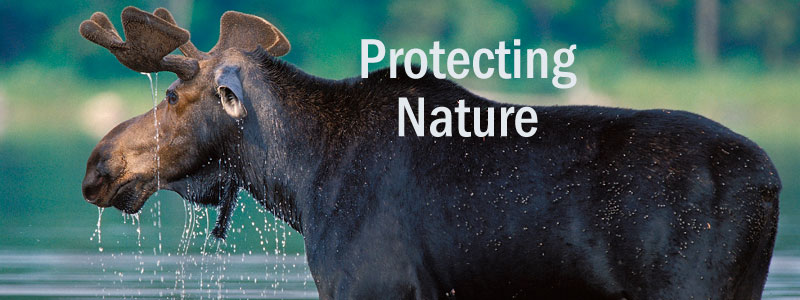 Protecting Nature